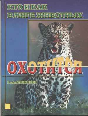 похудение и секс